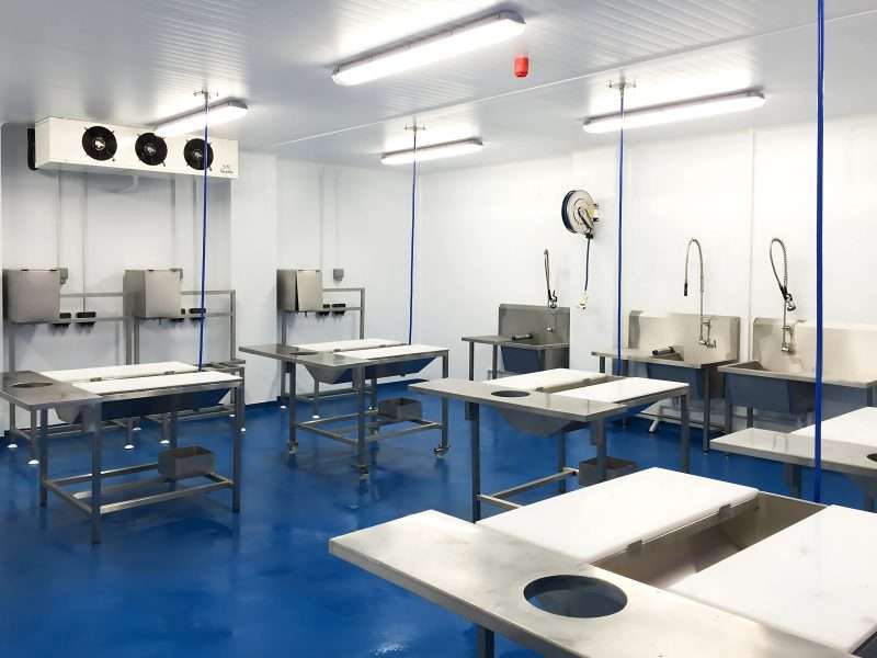 fish processing