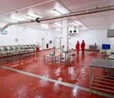 seafood processing